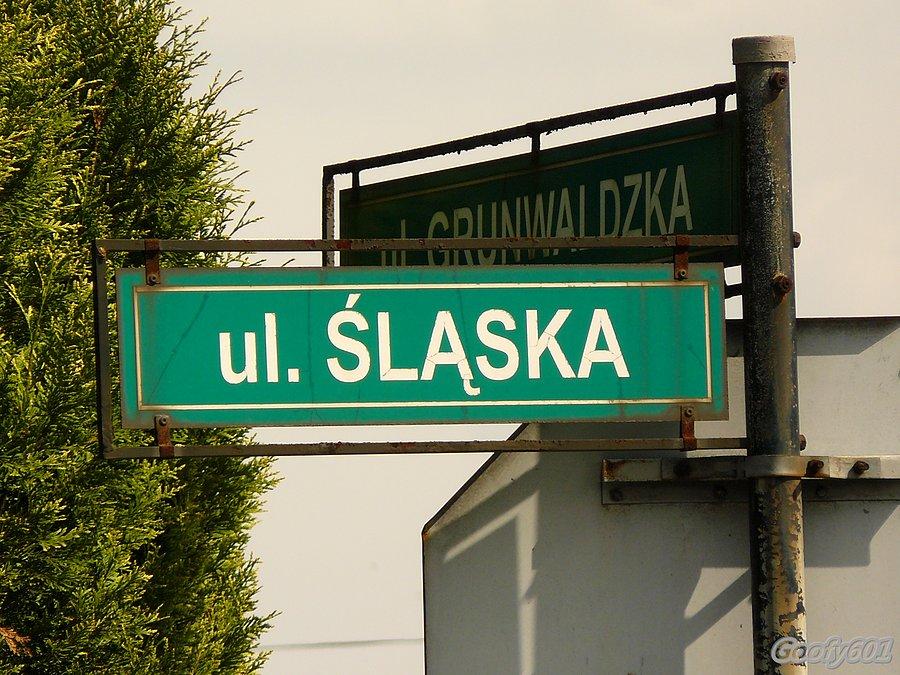 Ul. Śląska