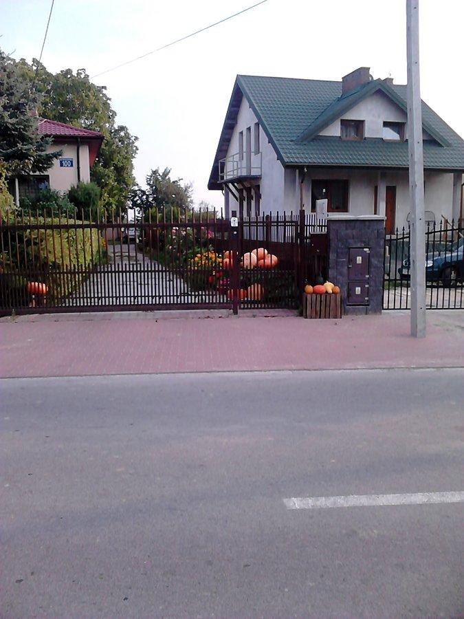 Dynie w Macierzyszu - to już koniec lata