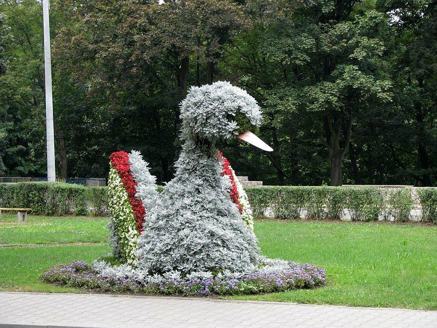 Gliwickie kwietniki - Łabędź