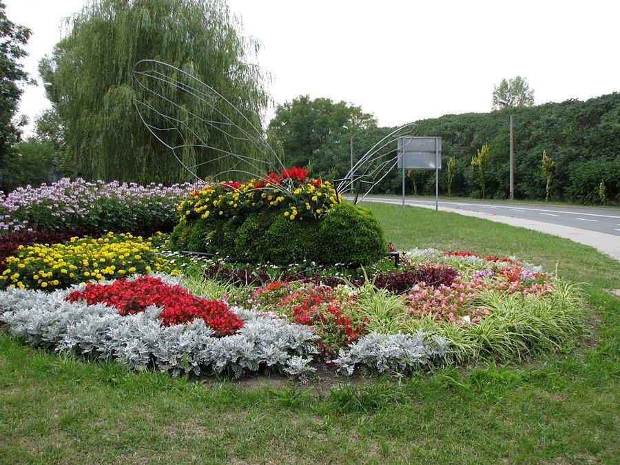 Gliwickie kwietniki - pszczoła