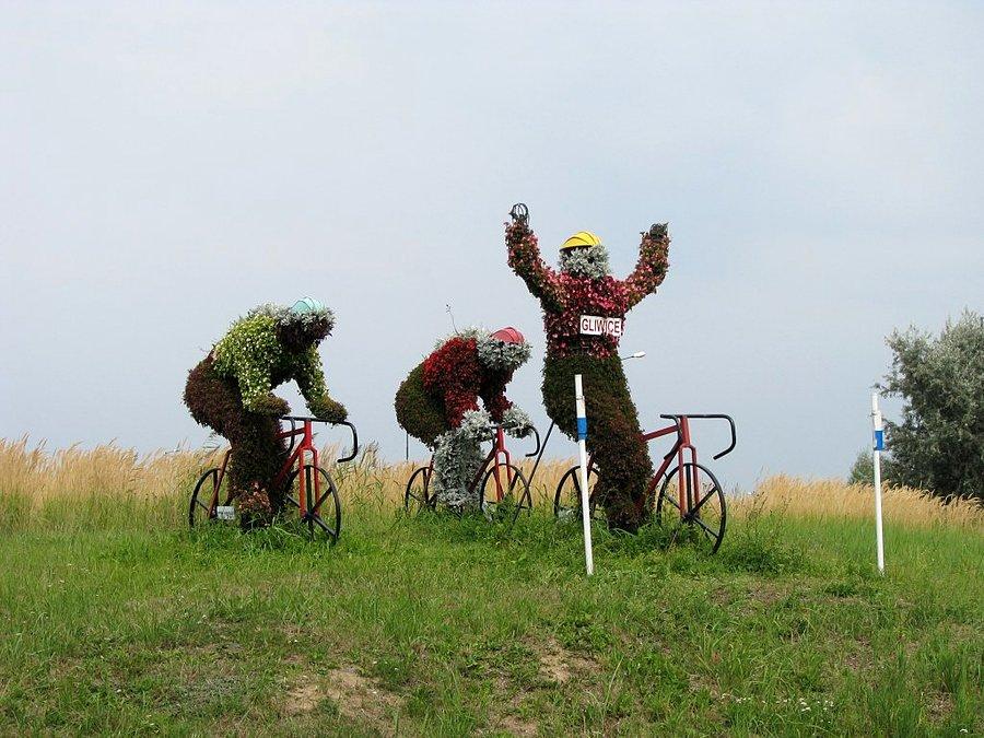 Gliwickie kwietniki - Rowerzyści