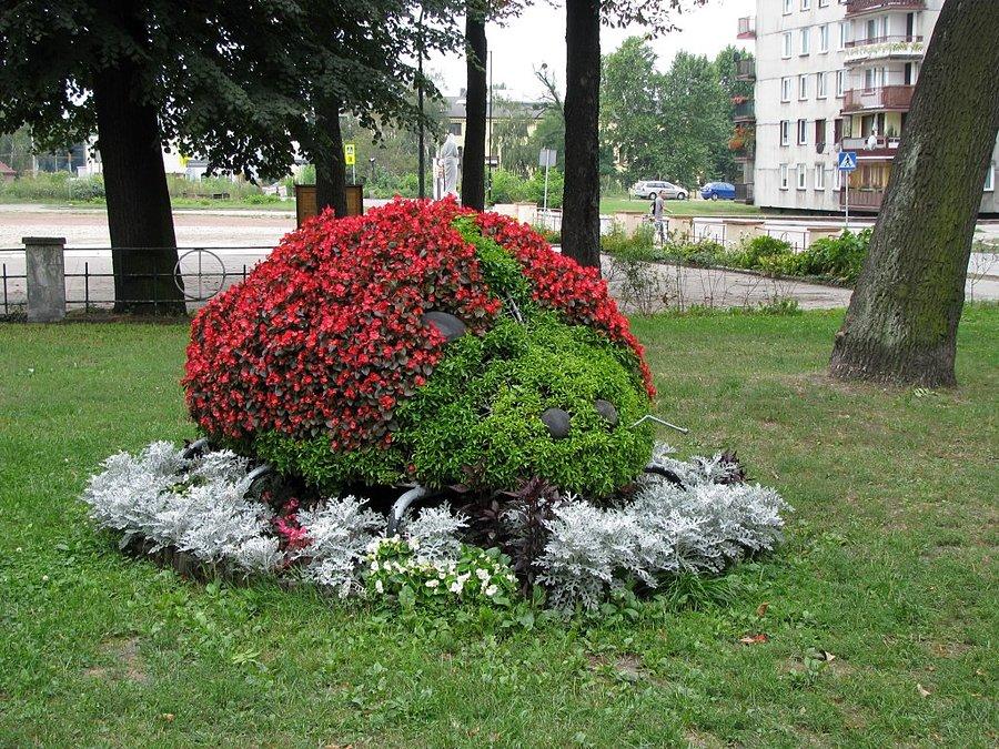 Gliwickie kwietniki - Biedronka