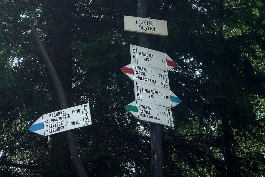 Gaiki skrzyżowanie szlaków