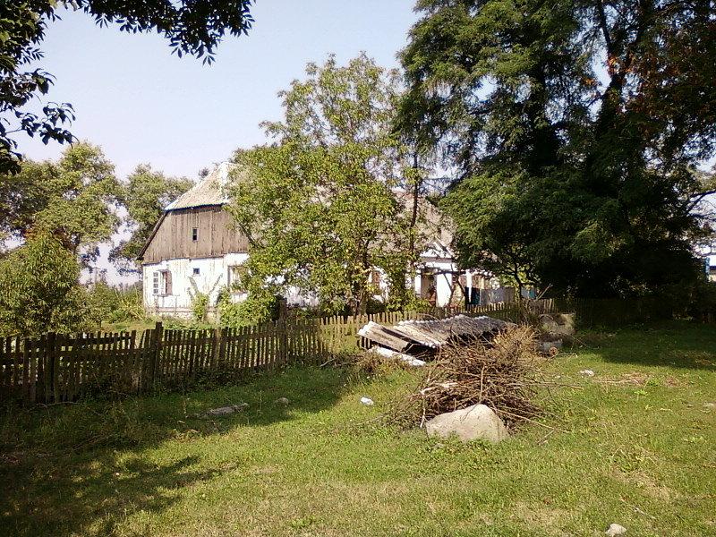 Dwór w Tumisinie
