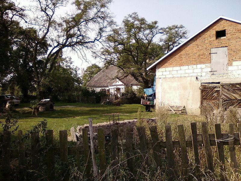 Dwór w Tumisinie (w głębi)