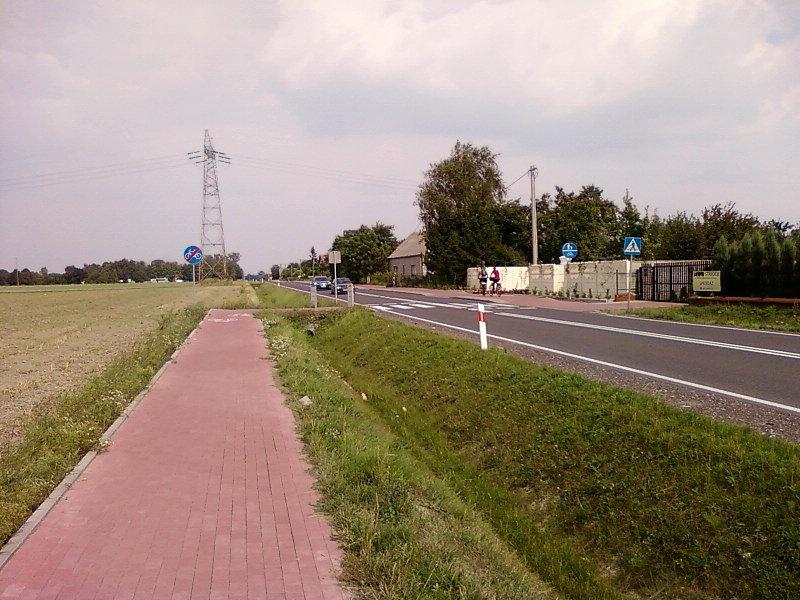 Droga rowerowa w stronę Wartkowic