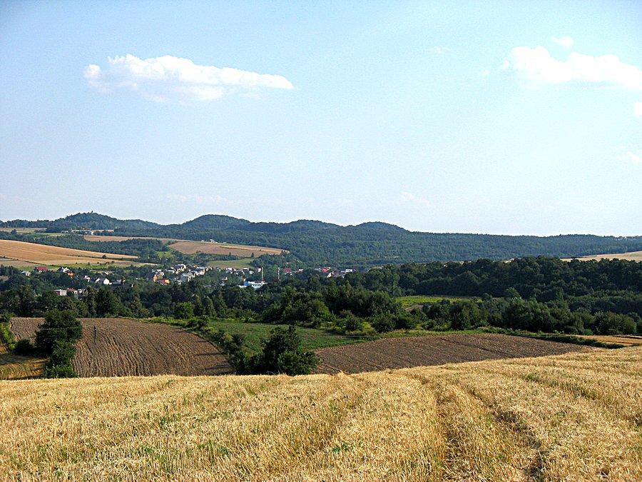 Widok na Pilicę