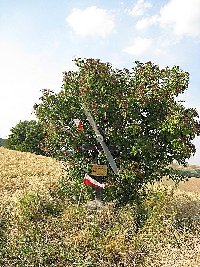 Krzyż lotników w Pilicy