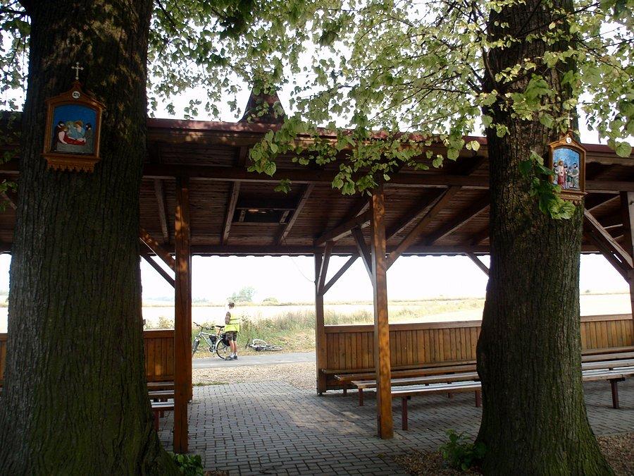Kapliczka w Gojach
