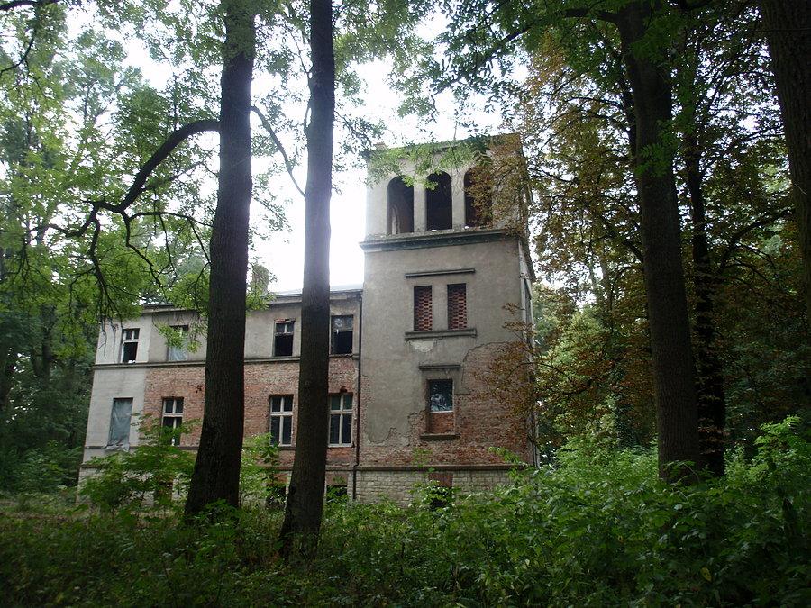 Kotliszowice- pałac