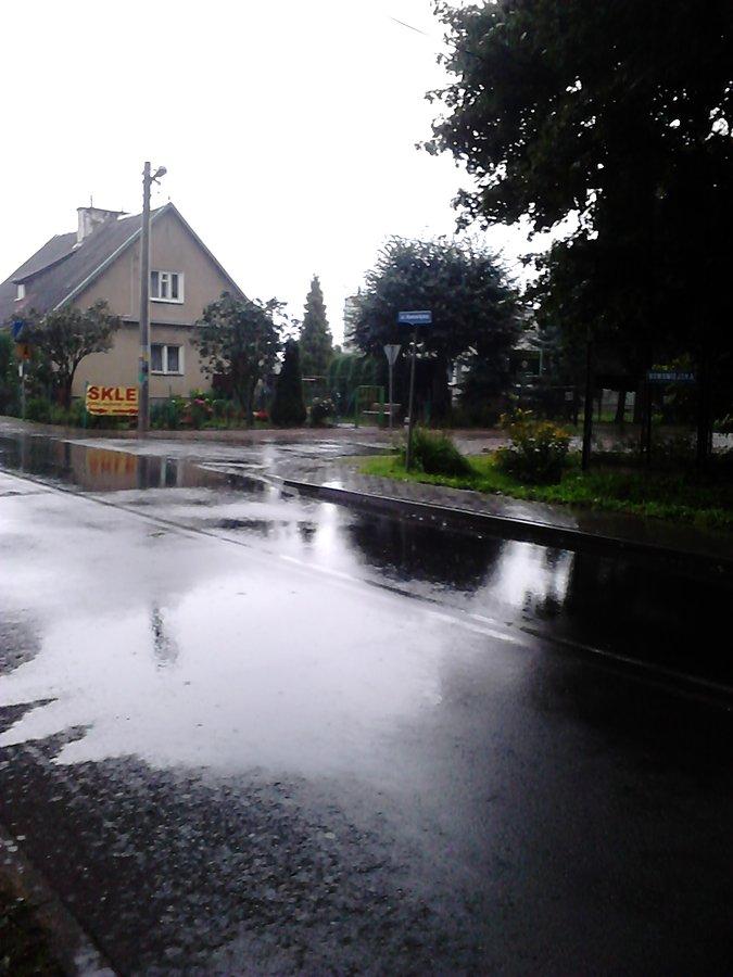 Widok spod drzewa w Pogroszewie