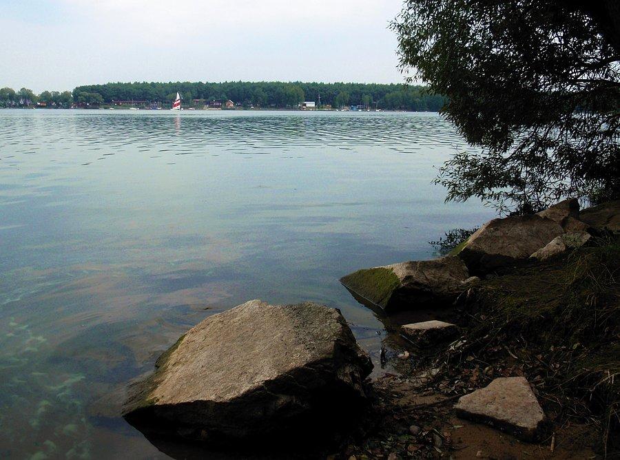 Brzeg jeziora