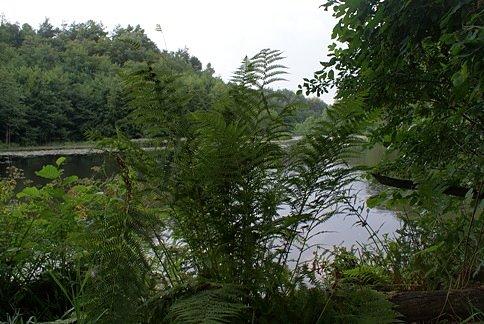 Drugi ze stawów