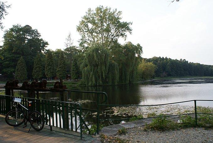 Nad czwartym stawem nad Gacią, stawem spalskim