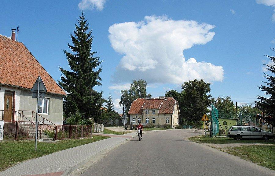 Boguchwały