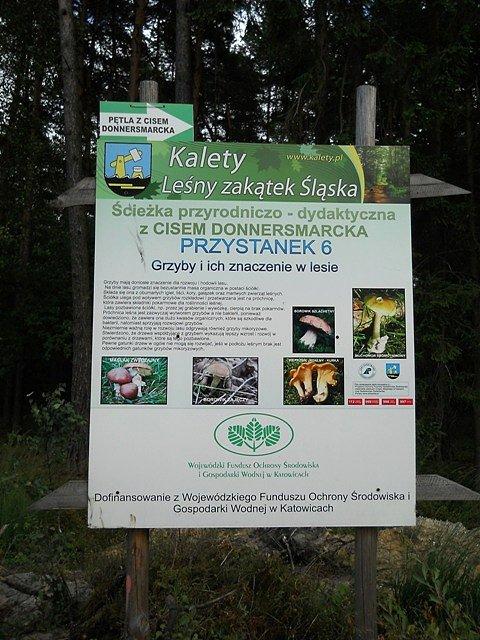 Tablica informacyjna