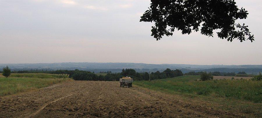 Wykopki, a w tle Husów