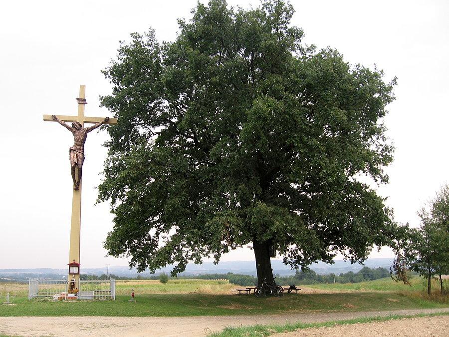 Kraczkowskie Błonie