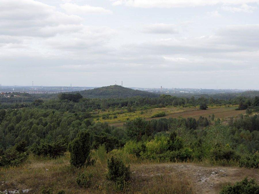 Widok z Gór Towarnych
