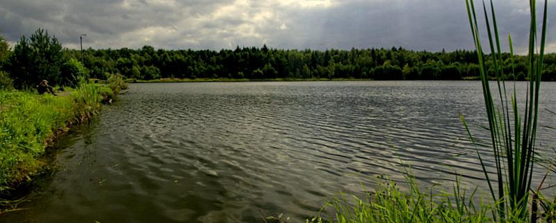 Zalew Wesoła