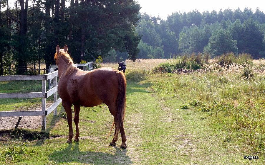 Konibal kisialala ;)