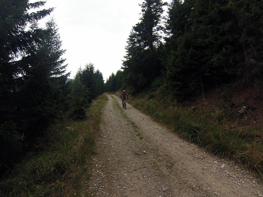 Zjazd ze Śnieżnika