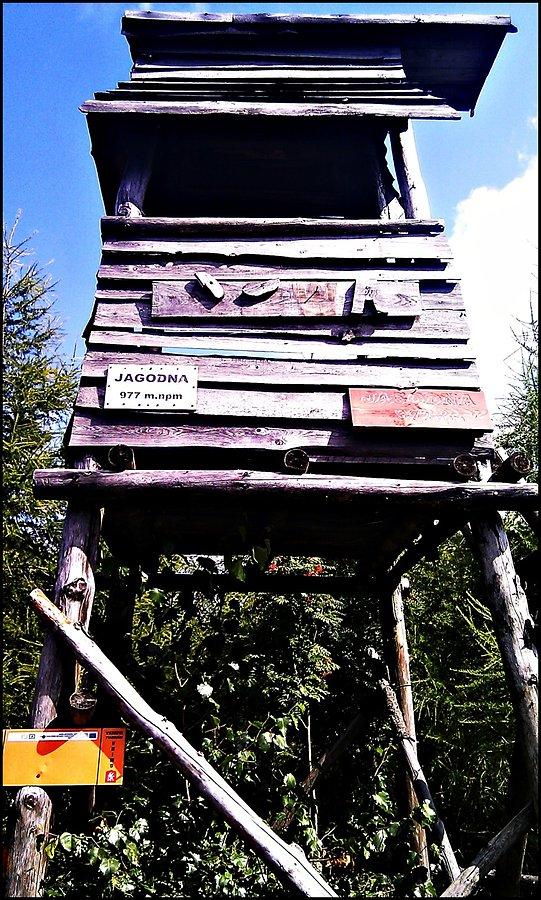 Szczyt Jagodnej