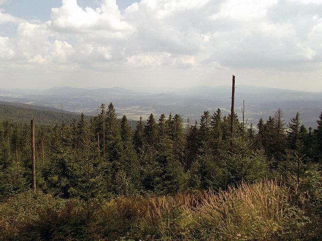 Widoki