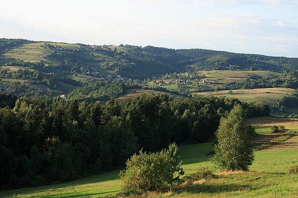 Paszyn