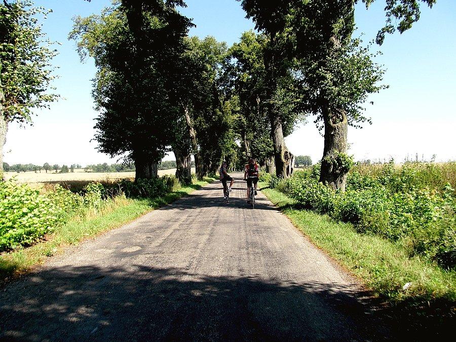 Gdzieś po drodze do Ostródy