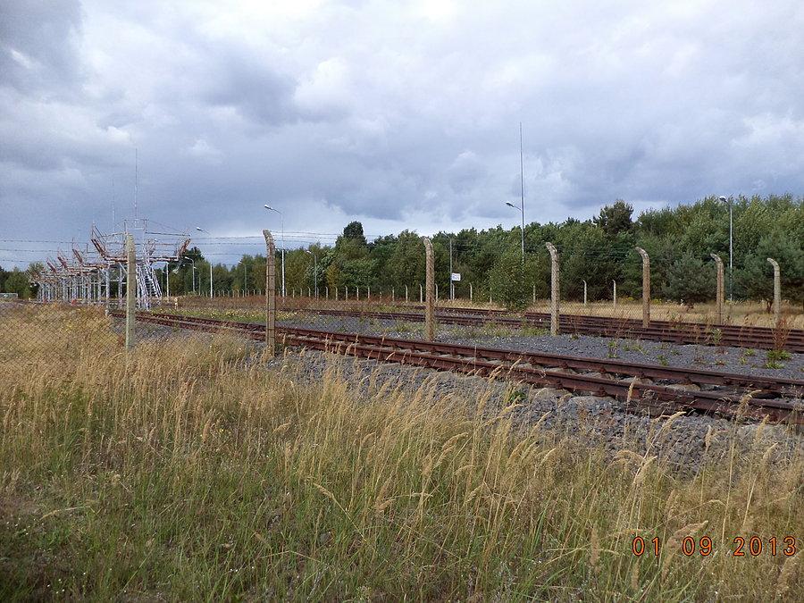 Tory biegnące przez siatkę i dziwny postindustrial za nią
