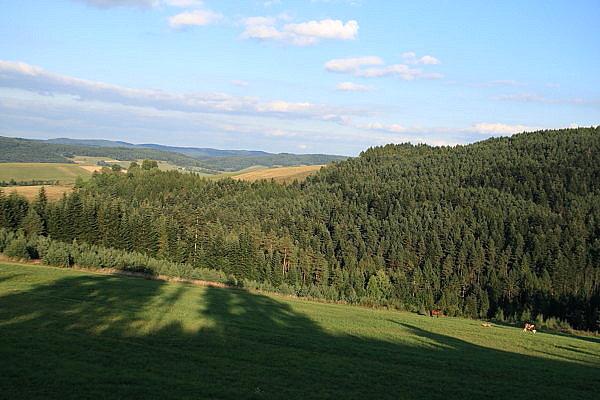 Widok znad Berestu