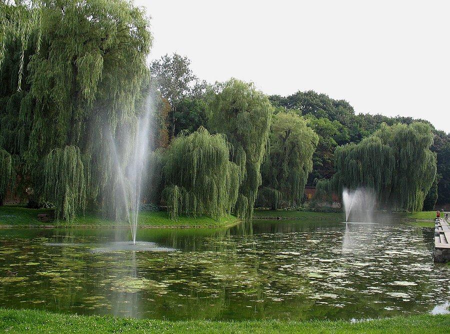 Staw przy Cytadeli