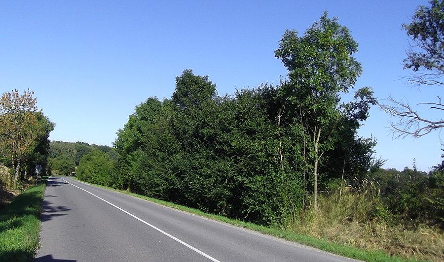 Zjazd do miejscowości Šilheřovice