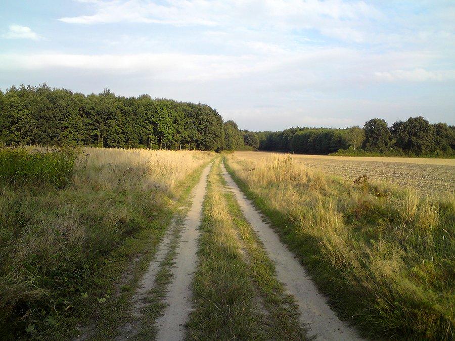 Polniaki koło Lutyni
