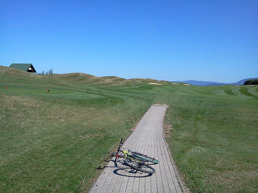 Pola golfowe w Ropicy1