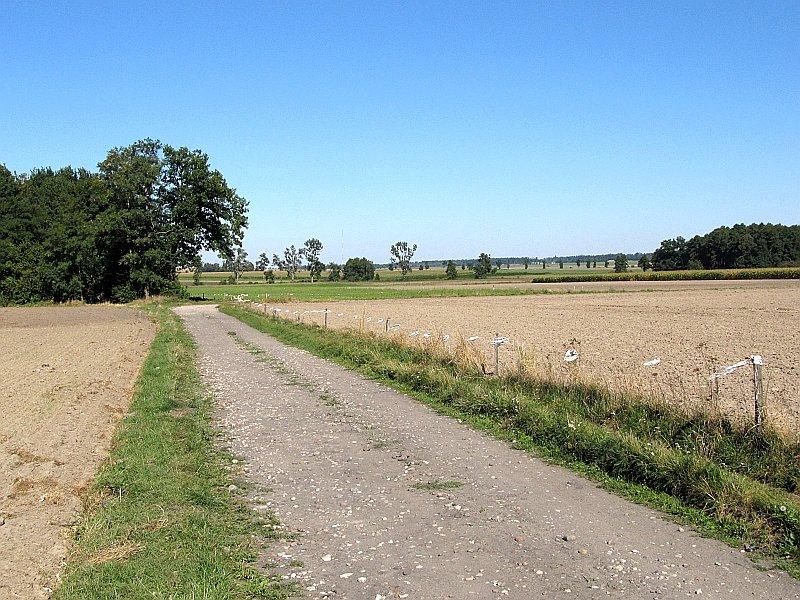 Wiejskie drogi, których celu nie znałem