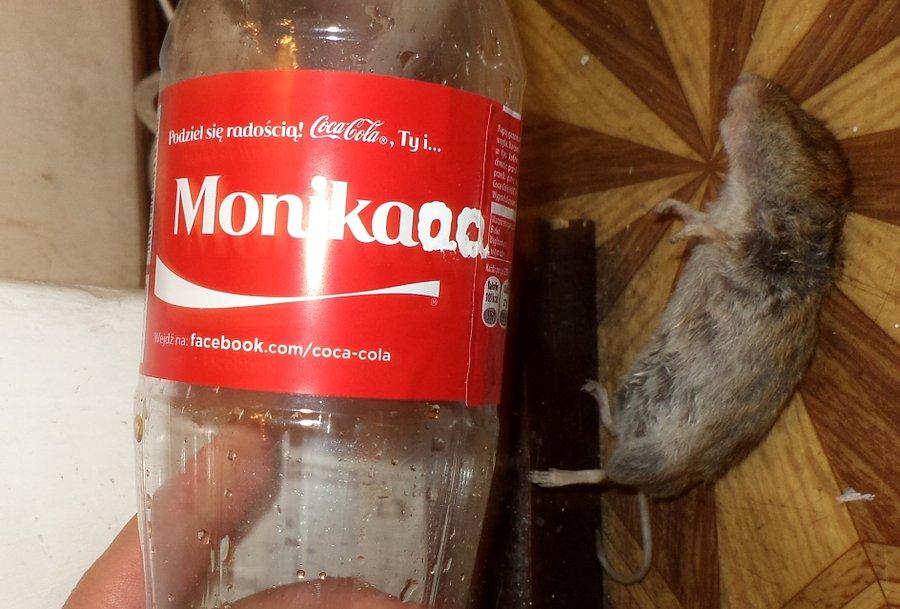 Monikaaa i zwierzęce zwłoki (Jej pasja) ;)