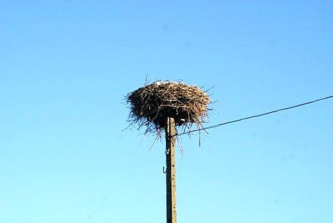 Patrzę w górę i nie widzę nikogo