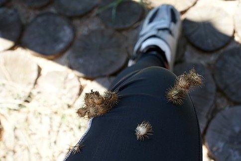 I masz babo dziada :)
