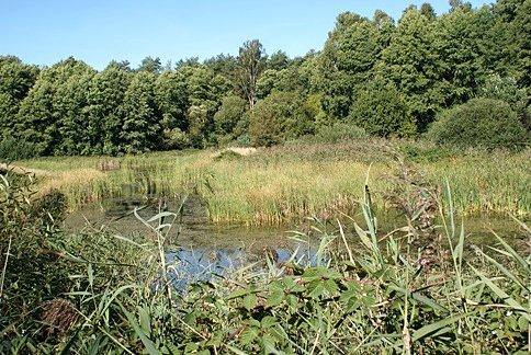 Mała retencja wodna