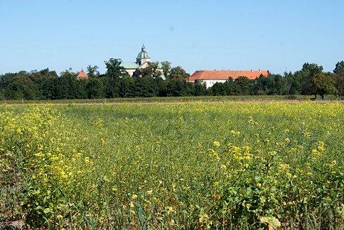 Widoczek na klasztor Filipinów i Bazylikę w Poświętnem