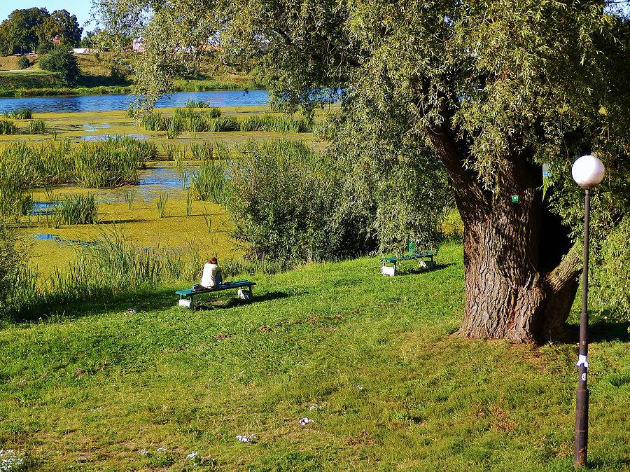 Widok na Nogat