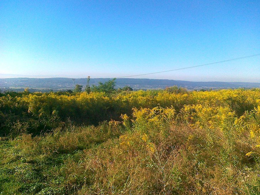 Trasy rowerowe moje okolice 14