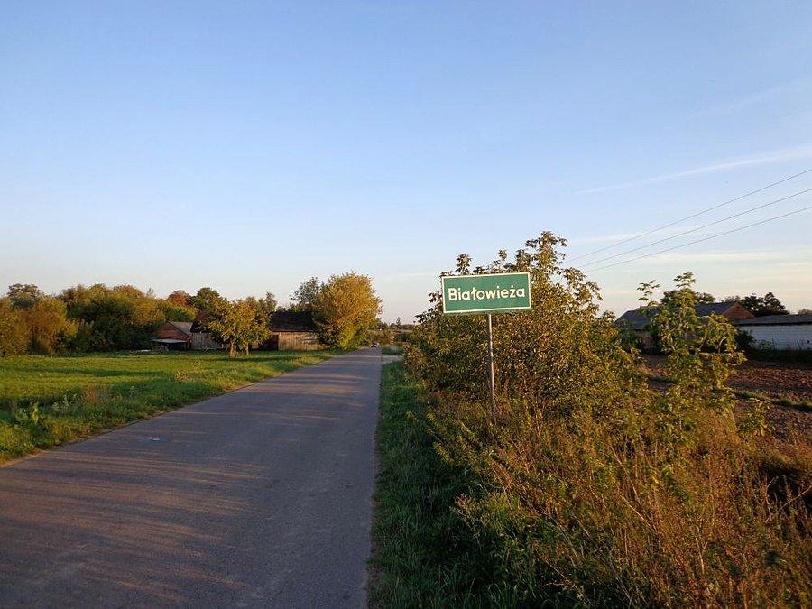 Białowieża..kara musi być
