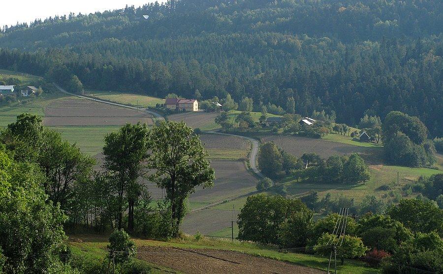 Spojrzenie na podjazd w stronę Szymbarku (10-15%)