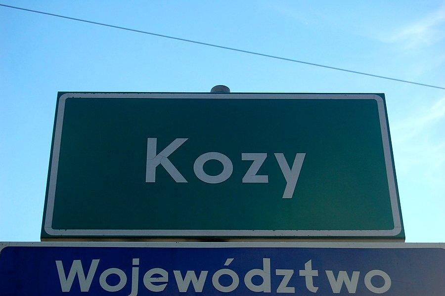 Tu Kozy