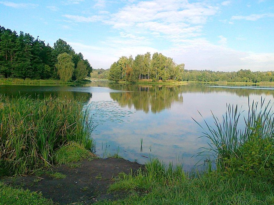 Nad zbiornikiem w Blachowni I