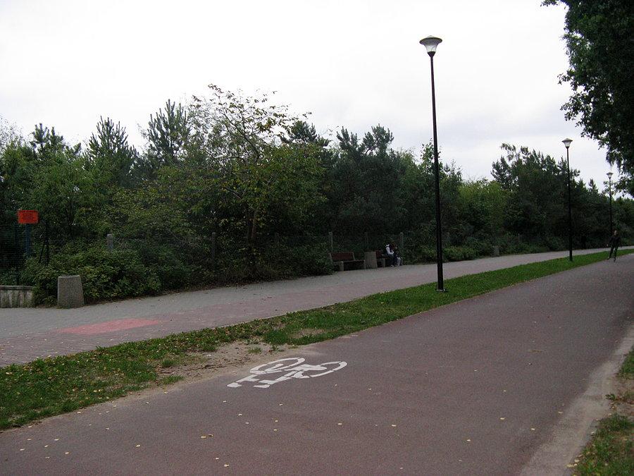 Takie są drogi rowerowe w Gdańsku