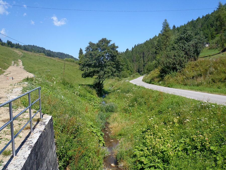 Wojkowa